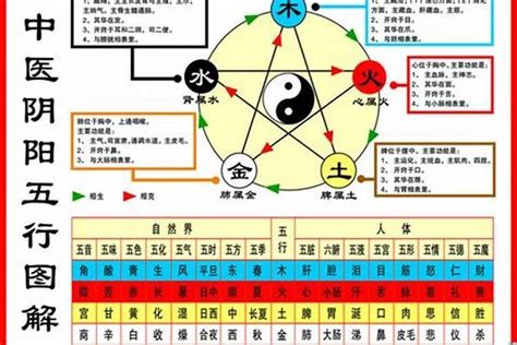 木鼠之命|【1984年五行】揭曉！1984年五行屬什麼？鼠年的你五行命運大。